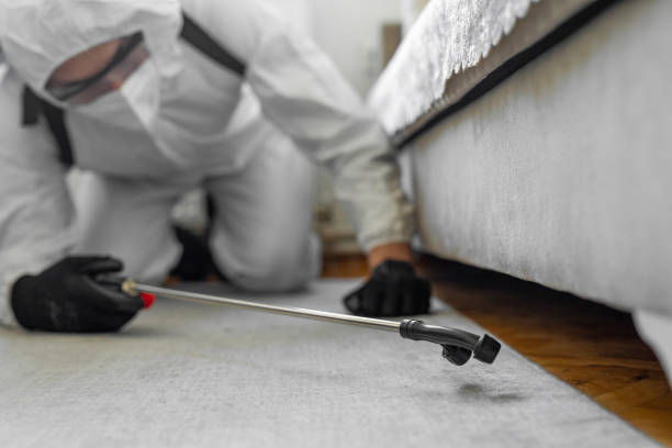 Professional Termite Control technician working in Presidio County County, TX
